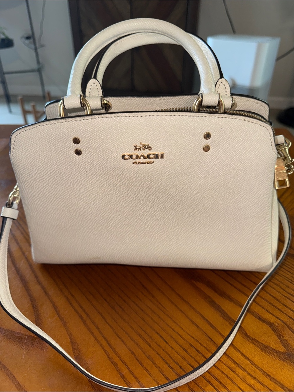 Coach Mini Lillie Carryall Purse